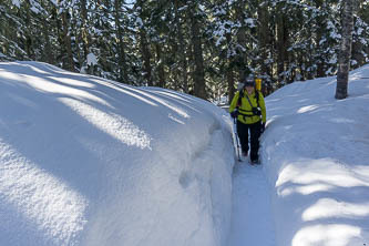 The trail was a well-broken trench