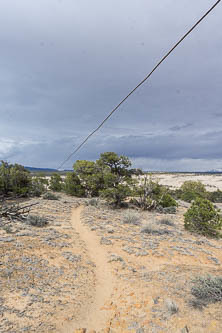 Telegraph line