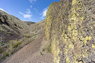 Basalt & lichen