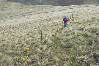 Faint user-built trail up to the summit