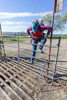 The gate at the Buffalo Road trailhead