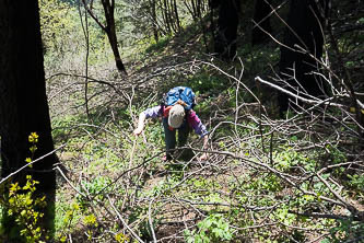 A bit of cross-country up to the summit