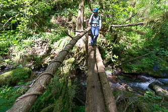 Cute bridge over Archer Creek