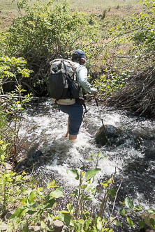 Fording Tarpiscan Creek