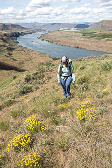 Columbia River from the north ridge of Cape Horn