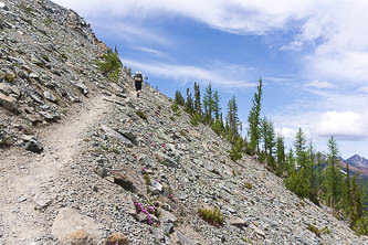 Lake Anne Trail