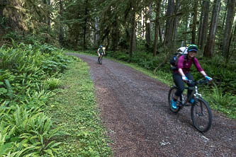 Carbon River Trail