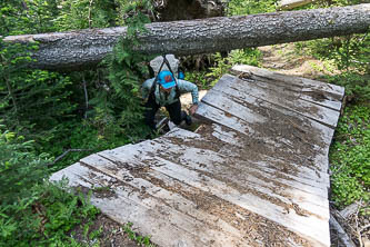 The north side of the South Fork Tieton Trail loop had a lot of blowdown