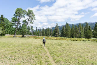 Conrad Meadows