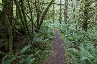 The CCC Trail