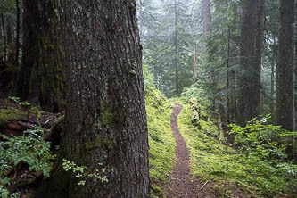 Dutch Miller Gap Trail