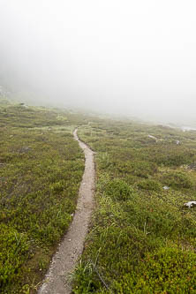 Dutch Miller Gap