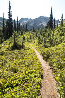 Chain Lakes Trail