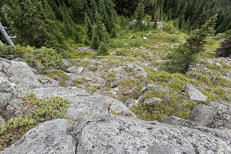 My traverse of the Doughgob ridge was neither nice nor terrible. I would try to follow the abandoned trail if I did it again.