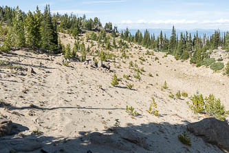 Icicle Ridge Trail