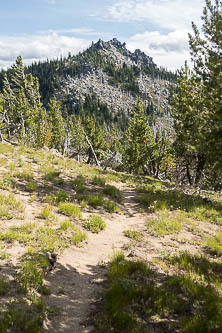 Icicle Ridge summit