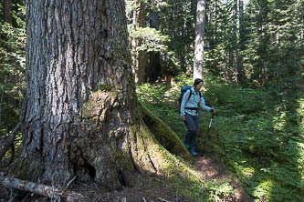 Deception Creek Cutoff Trail