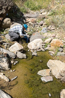 Running water in Three Fingers Gulch