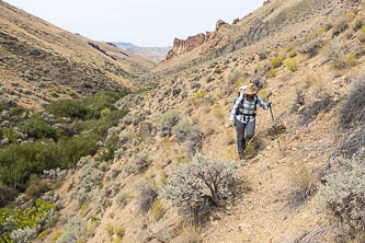 Willow Creek Canyon