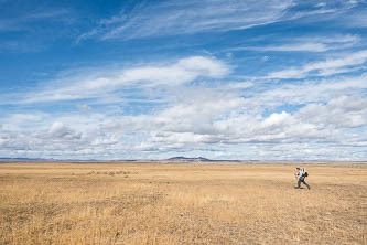 Cheatgrass & euphorbia field