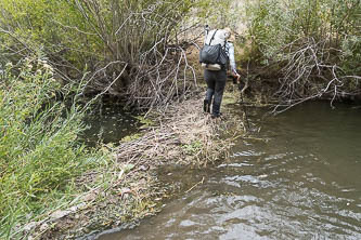 Crossing a beaver dam