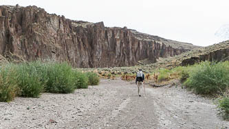 Little West Owyhee