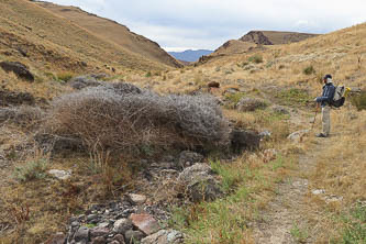 Tumbleweed jam