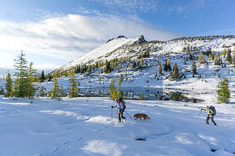 Golden Horn over Upper Snowy Lake