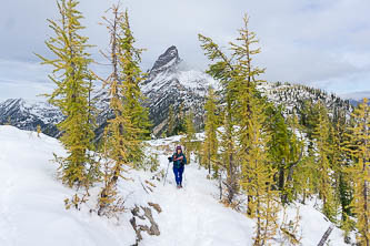 Tower Mountain