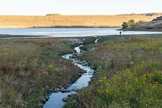 Whiskey Dick Creek flowing into the Columbia River