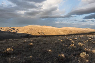 West summit of Manastash Ridge