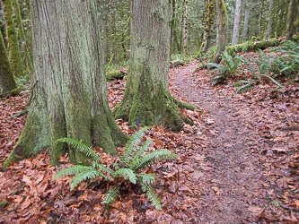 May Valley Loop Trail