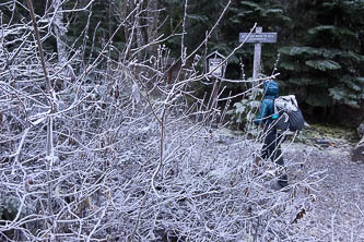 West Cady Ridge Trailhead