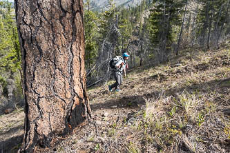 Hiking up the west ridge of point 5,576'