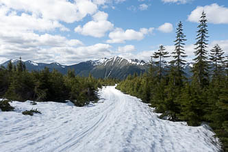 Road 9070-310 back to Windy Pass