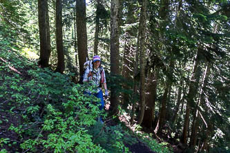 Rocky Run trail