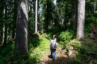 Quartz Creek Trail