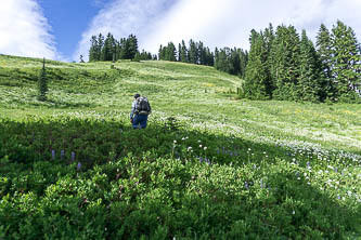 South slopes of Long John Mountain