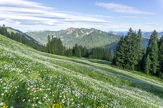 Skykomish Peak