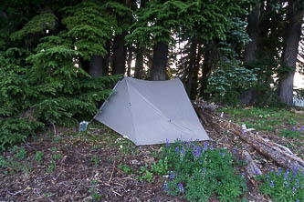 Camp a few hundred feet below the Cady Ridge Trail