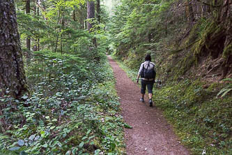 Suiattle River Trail