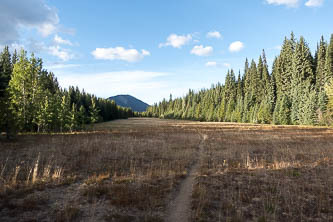 Pasayten Airstrip