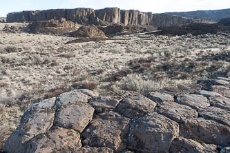 The top of columnar basalt columns