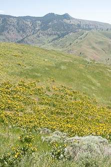 South Burch Mountain and Eagle Rock