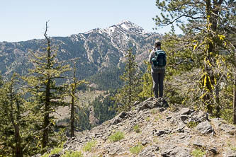 Miller Peak from Serpentine Hill