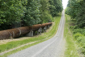 Tolt Pipeline Trail