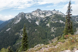 Bull's Tooth