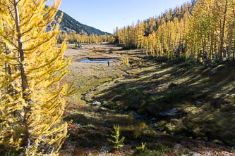 Cabin Creek valley