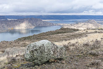 Erratics