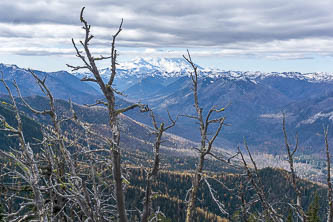 Mount Rainier from Goat Peak